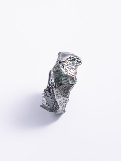 RAW-04 Ring
